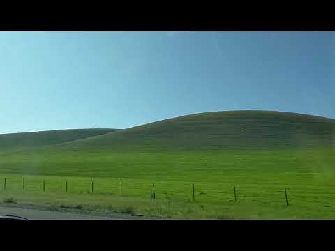 WindowsXP Bliss was photographed in this area (Sonoma, CA) though that exact hill is a vineyard