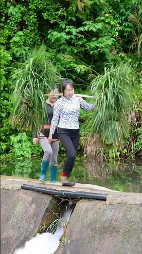 The rural life of beautiful peasant girls #country #prettygirl #pretty #vlog #countrylife #farming