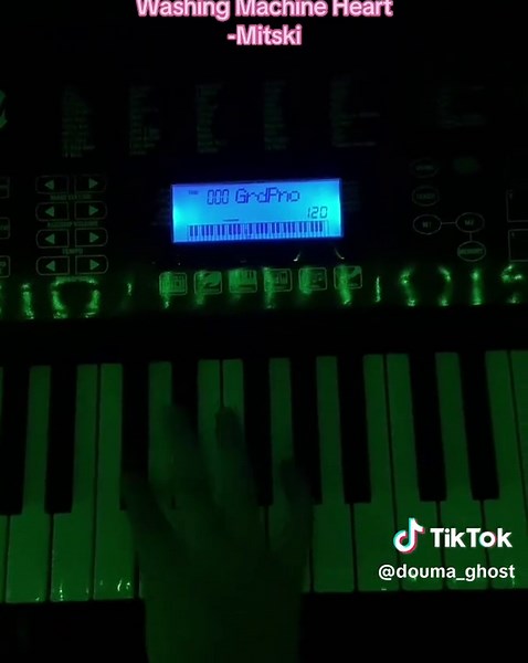 Washing Machine Heart #mitski #washingmachineheart #piano #music #fyp @Mitski