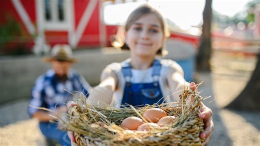 Eier essen, backen, braten – Rezepte zum Verwerten der Ostereier