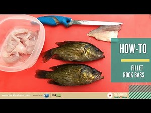 How-To: Fillet Rock Bass