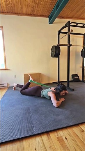 Prone resisted hip internal rotation