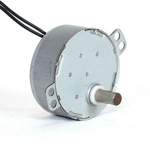 [Hot Item] Electrical Microwave Oven Synchronous Gear Motor for Oven/Fan