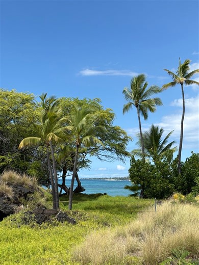 晴れたので海とホヌを観に！☆ハワイ島⑩