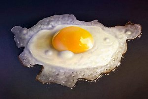 How to draw a fried egg - Corel Discovery Center