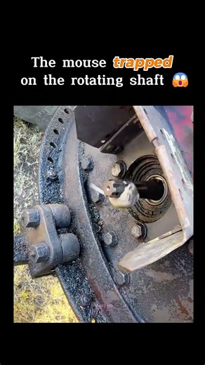 The mouse trapped on the rotating shaft 😱