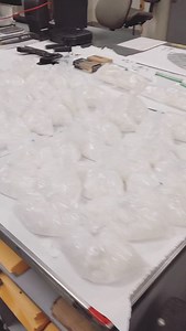 Major seizure alert! 🚨🚔 Our CVPD Narcotics Enforcement Team, with help from Homeland Security Investigations, recovered 90 pounds of meth and a 9mm handgun with an obliterated serial number during a recent Main Street search warrant. Excellent work keeping our community safe! 👏 | Chula Vista Police Department