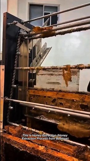 Honey Extraction Machine