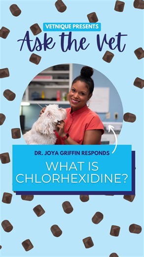 12K views · 31 reactions | What is chlorhexidine? 樂 Board Certified Veterinary Dermatologist @drjoya_thepetskinvet explains what this ingredient is, and how it can help pets with skin infections  What other questions do you want to see our team of vets respond?  #vetniqueaskthevet #askthevet #vetmed #popgoesthevet #chlorhexidine #antimicrobial #pethealth #petlovers | Vetnique | Facebook