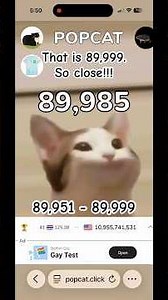 Quacks 89,951-89,999!!! WE’RE ALMOST THERE!!! (1 away from 90,000!)