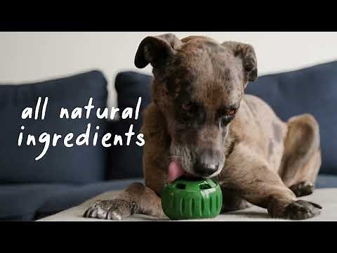 Pupsicle Pops - Refills for The Pupsicle | Woof