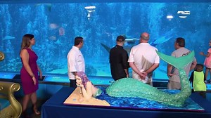 22K views · 368 reactions | The Mermaid Cake - Cake Boss   Don't forget to activate notifications and follow us on our INSTAGRAM page酪 https://www.instagram.com/cakedecorating_org/ | Cake Decorating - Design | Facebook