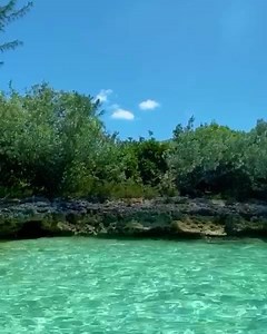 2.2K views · 232 reactions | @makersair bringing more lucky travelers to Staniel Cay.  Welcome!! . #stanielcay #stanielcayyachtclub #exumas #exumacays #exumasbahamas #outislands #makersair #destinationsmade @visitthebahamas @myoutislands @bahamas @itsbetterinthebahamas | Staniel Cay Yacht Club | Facebook