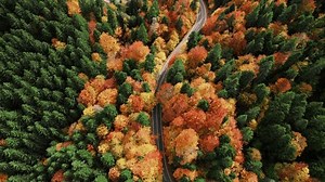Top view above winding road during the autumn. Winding road in mountains. Autumn landscape. Incredible serpentine in the mountains. Drone flying over the road.