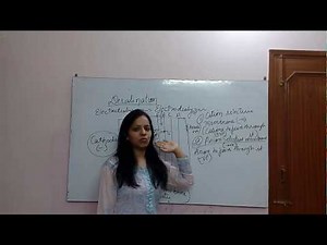 Desalination process (electrodialysis of water )