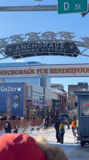 Open world Dog Sled Championship and so much more at the 91st Fur Rendezvous! 🐕🥶