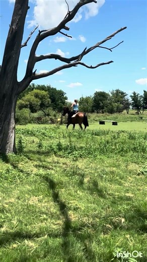 South Africa, Western Mounted Games, Hurry-scarry first for 2026