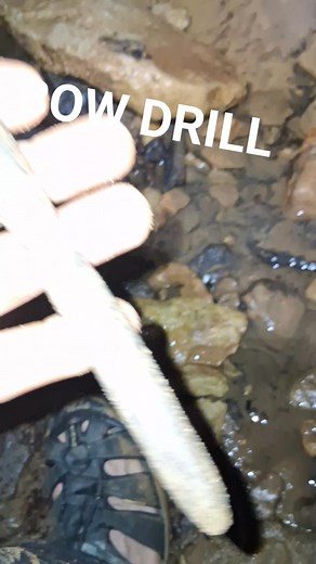 30 reactions · 5 comments | Ancient artifact #cave #artifact #discovery #reels | Wes Sims | Facebook