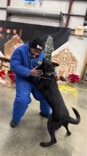 Decoy Feared “Brooks” Protection Update ‪@ProtectionDogSales‬