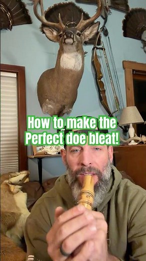 Make PERFECT Doe Bleats Every Time with This Simple Trick