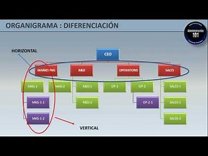 What Is an Organizational Chart: Types-Advantages-Disadvantages