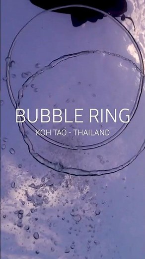 Watch Bubble Rings Dance to the Surface | Underwater Magic #kohtaodiving #scubadiving #bubblering
