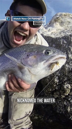 The best trout lake in the world? - ‘Leviathan’ on FishingTV Click the link to watch now! https://www.fishingtv.com/video/leviathan/ For humankind, water is a source of eternal wonder, so too the creatures that dwell within this mysterious realm. The lure of the unknown is what drives fly fishers to explore and to seek out the largest fish of a species, not for the trophy but for the challenge. LEVIATHAN documents epic fly fishing battles with these modern-day aquatic monsters in a global tour-d