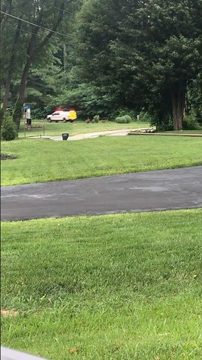 AACFD Safety Officer 5 Responding to a Box Alarm 🚨 🔥