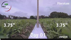 Scotts ProVista Sod | 6 Locations Serving Northeast, FL | The Sod Lot