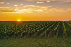 A glimpse over the beautiful Chester County countryside with a bird's eye view. Not far from the city, Chester County, PA is the perfect location to get away from the busy hustle and bustle for a weekend. With endless landscapes of farms, wineries, parks, preserves and rivers, there is so much to see and do. Plan a getaway at BrandywineValley.com | Chester County's Brandywine Valley