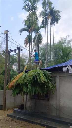 mujhe koi support nhi करता hello bhai 😭😭😭#shorts #vlog #travel