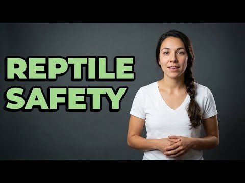 How To Prevent Reptile Burns From Heating Pads?