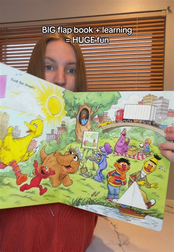 Elmo's Big Lift and Look Book for Toddlers