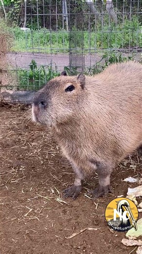 Marie:“…My child is all grown up…I couldn’t always be there for him…but now.