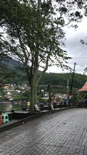 KPH Solaraya: The Future of Suprax 125 Unveiled