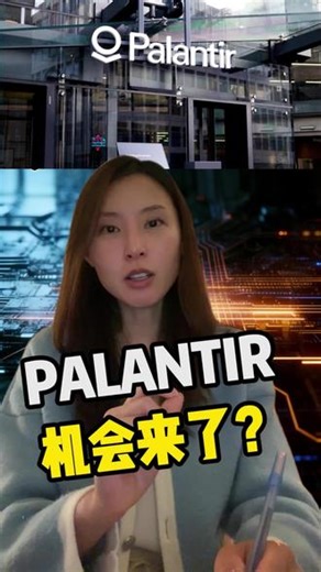 拆解palantir，财报王炸却暴跌。 #美股 #投资 #牛市 #和抖仔花式同框 #财经