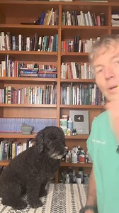 6.4K views · 91 reactions | How to save your dog if choking: Dog Heimlich #dogemergency911 #dogemergency #dogchoking #dogheimlich | Daily Pet Tips | Facebook