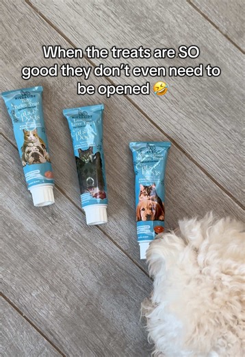 DOGS ARE OBSESSED 🐾 Our premium dog pastes in Liver, Salmon & Turkey are the ultimate high value, multi-use reward: ✔️ Instant focus for training & recall ✔️ Zero drama pill hiding 💊 ✔️ Makes boring kibble exciting again ✔️ Clean, natural ingredients you can actually trust Made with real meat, fish oil, no rapeseed oil 🙅‍♀️ and functional fibres 👉 Lower fat, high protein, and 90g of value in every tube. Because training should feel easier… and treats should feel healthy enough for every day 