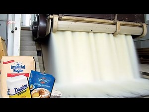 How SUGAR is Made from BEETS? Amazing Sugar Making Process!