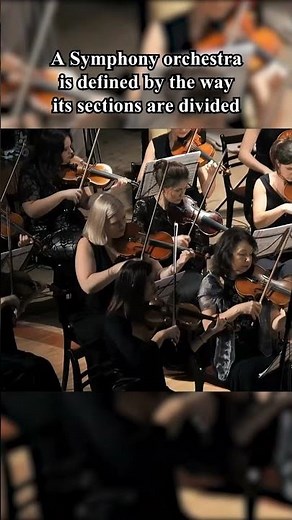 What Makes an Orchestra Symphonic? | #classicalmusic #orchestra