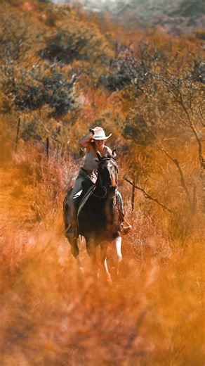 something in the orange🧡 Video by @Lanybiird ❤️ #fyp #trails #horses #gallop #videography #california