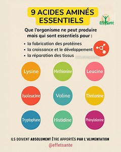 17K views · 105 reactions |  Les 9 acides aminés essentiels (lysine,...