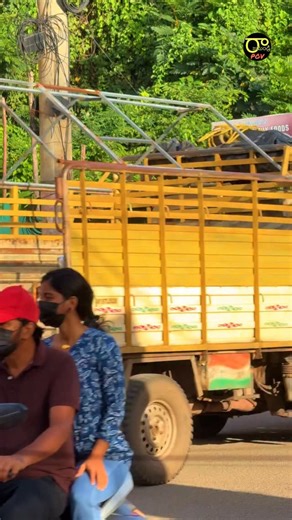 That’s a cute crackers distribution #diwali #crackers #love #effection #rajahmundry_pointofview2.0 #rajahmundry_media | రాజమహేంద్రవరం rajahmundry