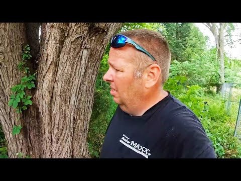 Extreme yard cleanup at an old house: Overgrowth, ivy & hidden surprises revealed!