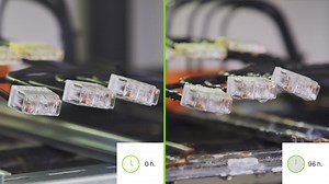 COMPACT PUSHWIRE® splicing connector (2773-404) | WAGO USA