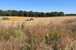 Did conservation practices price out for an agroecology research site in 2024?