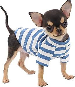 Amazon.com : LOPHIPETS 100% Breathable Cotton Striped Dog Tee Shirt T-Shirt for Small Dogs Teacup Chihuahua Yorkie Puppy Clothes -Blue and White Strips/XS : Pet Supplies