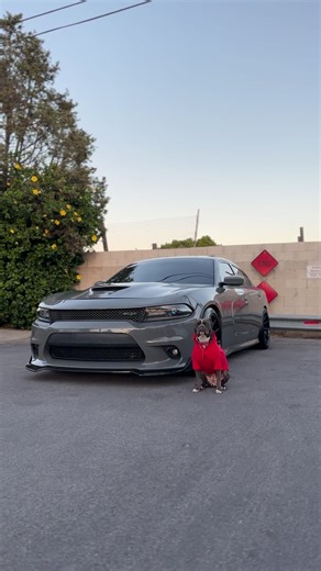 Once Upon a Time: A California Tale