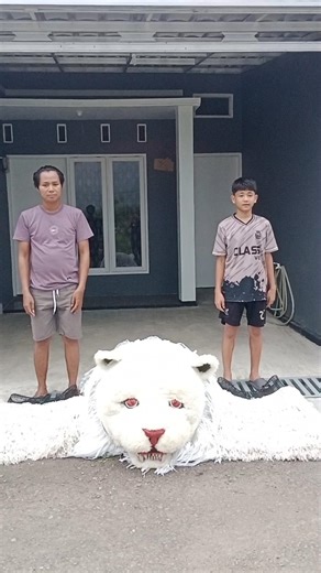 Tutorial cara pakai kostum can macanan