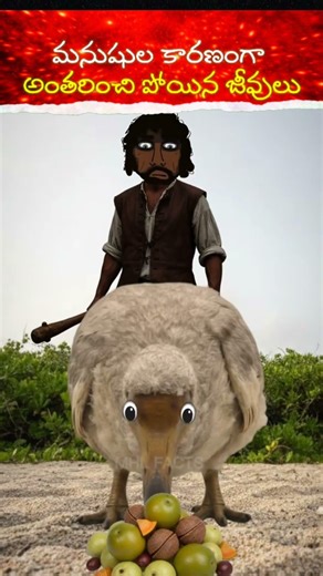 మనుషుల వల్ల అంతరించిపోయిన జంతువులు|Extinct Animals Caused by Humans|Dodo,Passenger Pigeon,Tasmanian